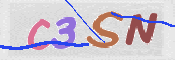 Obrazek CAPTCHA